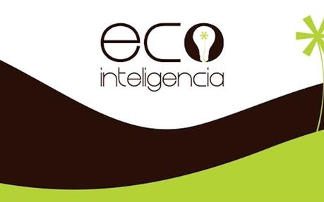 ecointeligencia, referentes en sostenibilidad