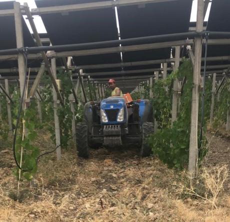 Energía que brota: nuevas claves para el campo sostenible