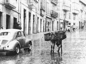 cuesta Atalaya, transitada burros
