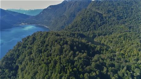 Colbún recibe reconocimiento internacional por su estrategia de biodiversidad