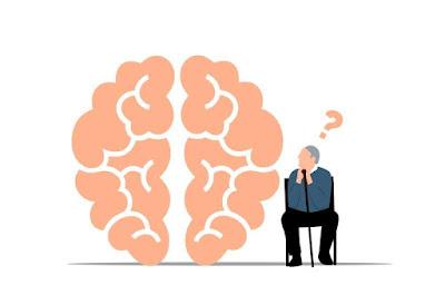 Uso de los alimentos como terapia en pacientes con demencia Uso de los alimentos como terapia en pacientes con demencia