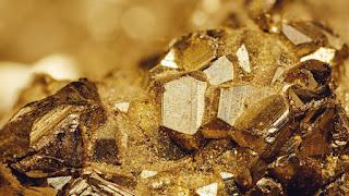 [ARCHIVO DEL BLOG] Cuando los tontos mandan. Publicado el 29/01/2017