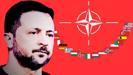 Zelenski es ya un desecho para la OTAN, afirma Rusia.