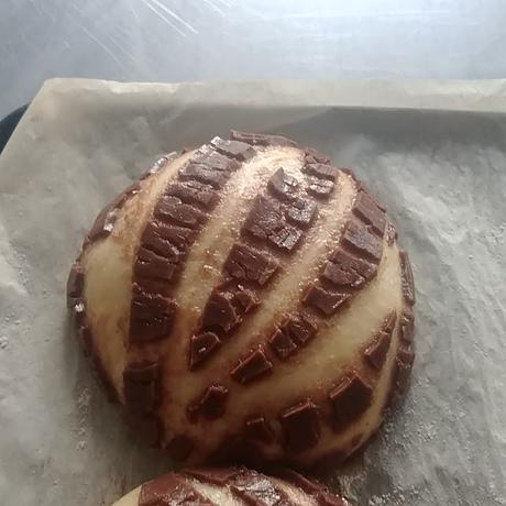 CONCHAS MEXICANAS