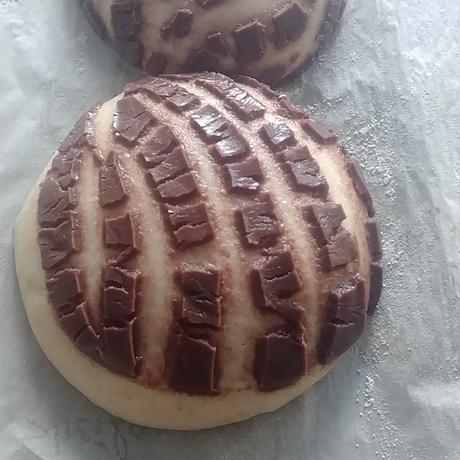 CONCHAS MEXICANAS