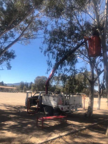 Villa de Pozos intensifica labores para mejorar el alumbrado público