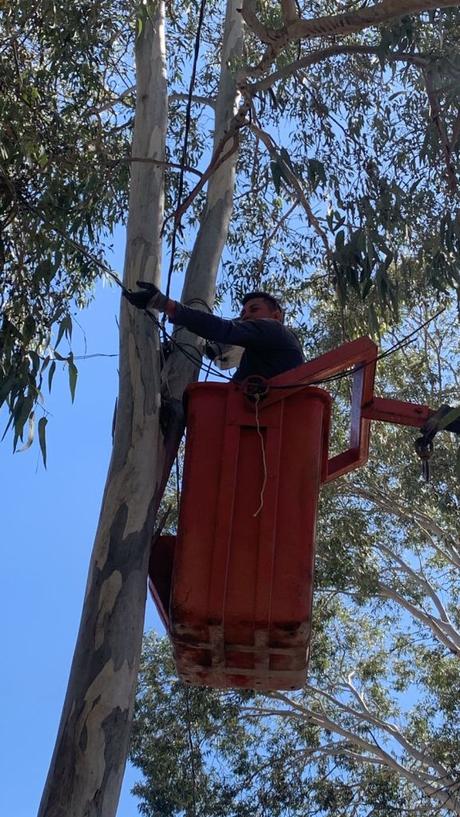 Villa de Pozos intensifica labores para mejorar el alumbrado público