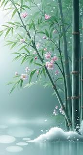 6.103 - NO SÉ... 6.103 - NO SÉ...