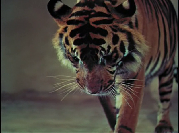 El tigre de Eschnapur/La tumba india