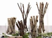 cost: centros ramitas