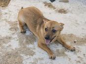 Ada, nació refugio todavía sigue allí.