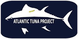 Técnicas en investigación: ¿cómo se marcan los peces?