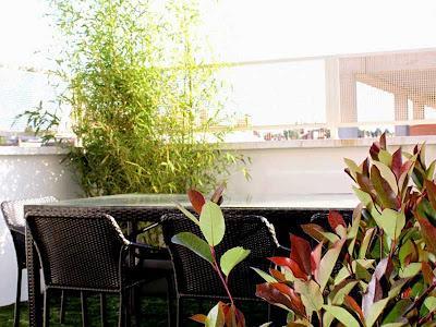 Cum Laude para el estudio La Habitación Verde/ Cum Laude for landscaping studio La Habitación Verde