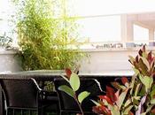 Laude para estudio Habitación Verde