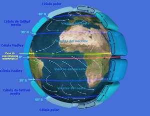 Earth_Global_Circulation.es Las corrientes marinas superficiales