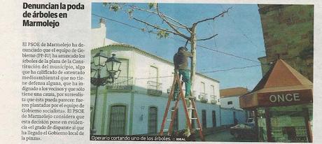 LOS 'verdes' talando árboles. Parte I