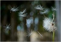 6797023475_e1a7405ff0