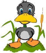 Agenda de actividades para niños y en familia: Del 15 al 19 de febrero de 2012