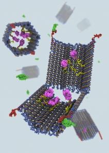 Nanorobots a la caza de células leucémicas