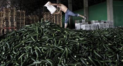 Pildoras de Actualidad; despido más barato, agricultura y gasolina.