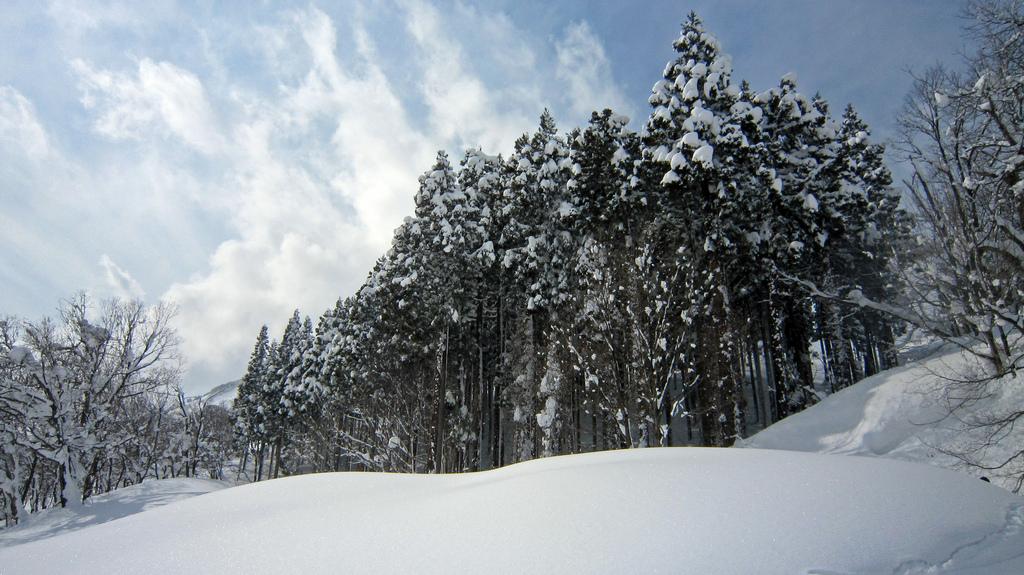 Esquiando en Ishiuchi, Echigo Yuzawa