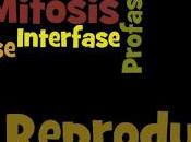 Mitosis