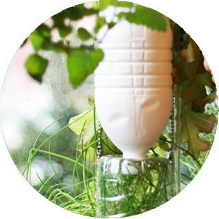 Jardín Ventana Huertos Verticales Windowsfarms