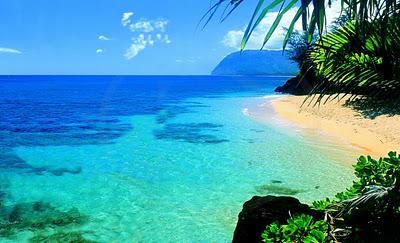 Los 7 secretos de la sabiduría hawaiana