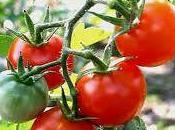 Cuando crisis azota salidas cierran