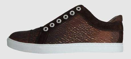 04z Zapateando en la primavera ¿Tú qué eres?