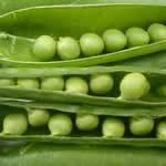 guisante planta medicinal