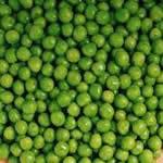 guisante planta medicinal