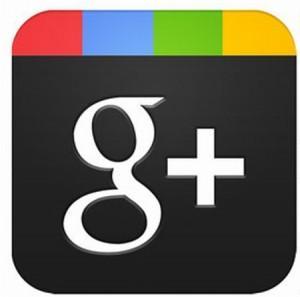 A casi 8 meses del nacimiento de Google+ (Infografía)