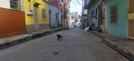 Organización y acción social a partir del agua