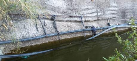 Organización y acción social a partir del agua