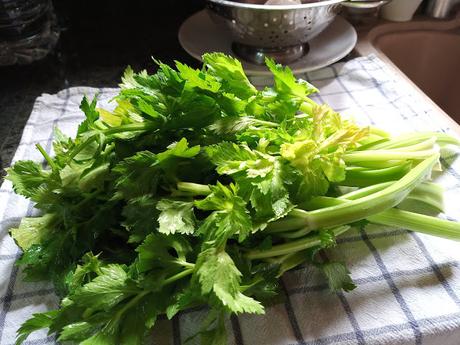 APIO DESHIDRATADO APIO DESHIDRATADO