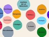 Descubriendo Ramas Biología: Viaje Corazón Vida