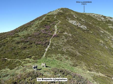 La Proída-Las Ḷḷagunas de Ḷḷagüeños-Picu Ḷḷagüeños-El Cuetu l´Osu-Penamayor