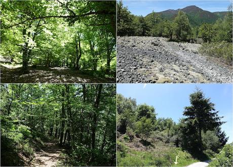 La Proída-Las Ḷḷagunas de Ḷḷagüeños-Picu Ḷḷagüeños-El Cuetu l´Osu-Penamayor