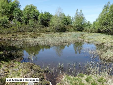 La Proída-Las Ḷḷagunas de Ḷḷagüeños-Picu Ḷḷagüeños-El Cuetu l´Osu-Penamayor La Proída-Las Ḷḷagunas de Ḷḷagüeños-Picu Ḷḷagüeños-El Cuetu l´Osu-Penamayor