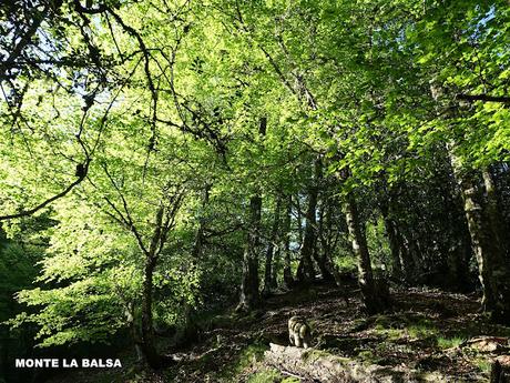 La Proída-Las Ḷḷagunas de Ḷḷagüeños-Picu Ḷḷagüeños-El Cuetu l´Osu-Penamayor