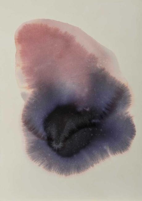 Cecilia Anich inaugura exposición en el Museo Casa Santa Rosa de Apoquindo Cecilia Anich inaugura exposición en el Museo Casa Santa Rosa de Apoquindo