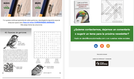 La Newsletter de Febrero de Concolor Media La Newsletter de Febrero de Concolor Media