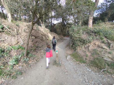 De Vallvidrera a la Font d'en Sert | Parc de Collserola