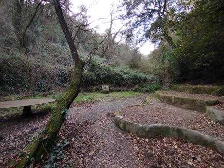 De Vallvidrera a la Font d'en Sert | Parc de Collserola