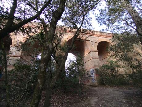 De Vallvidrera a la Font d'en Sert | Parc de Collserola