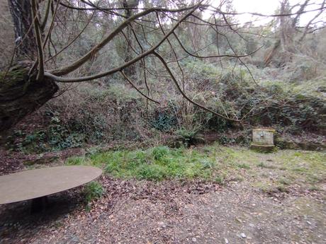 De Vallvidrera a la Font d'en Sert | Parc de Collserola