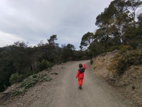 De Baixador de Vallvidrera al Turó dels Mussols | Parc de Collserola