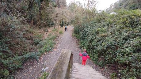 De Baixador de Vallvidrera al Turó dels Mussols | Parc de Collserola
