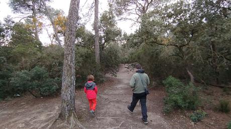 De Baixador de Vallvidrera al Turó dels Mussols | Parc de Collserola
